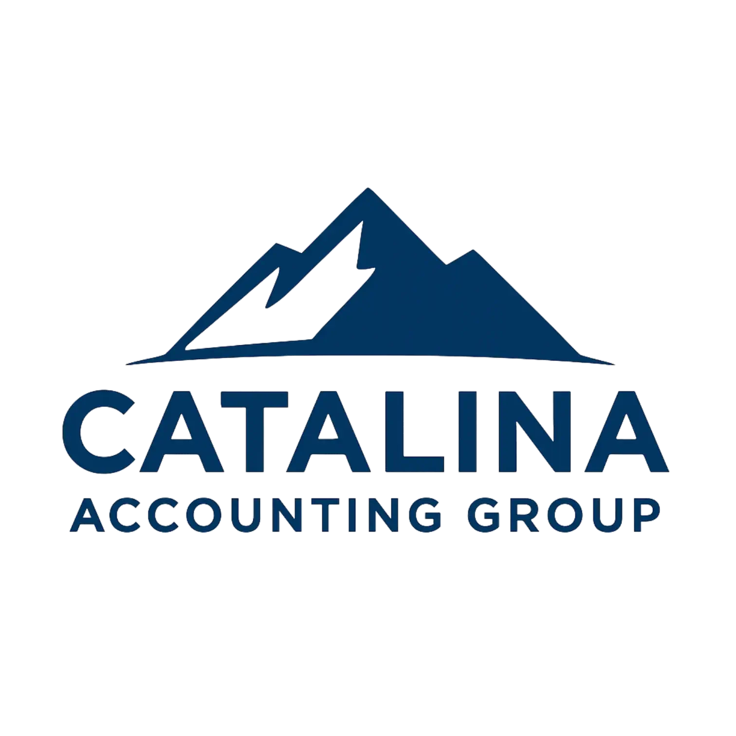 Catalina Accounting Group
